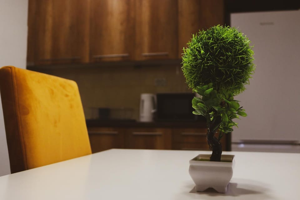 Dining area, Dinner, Dinner