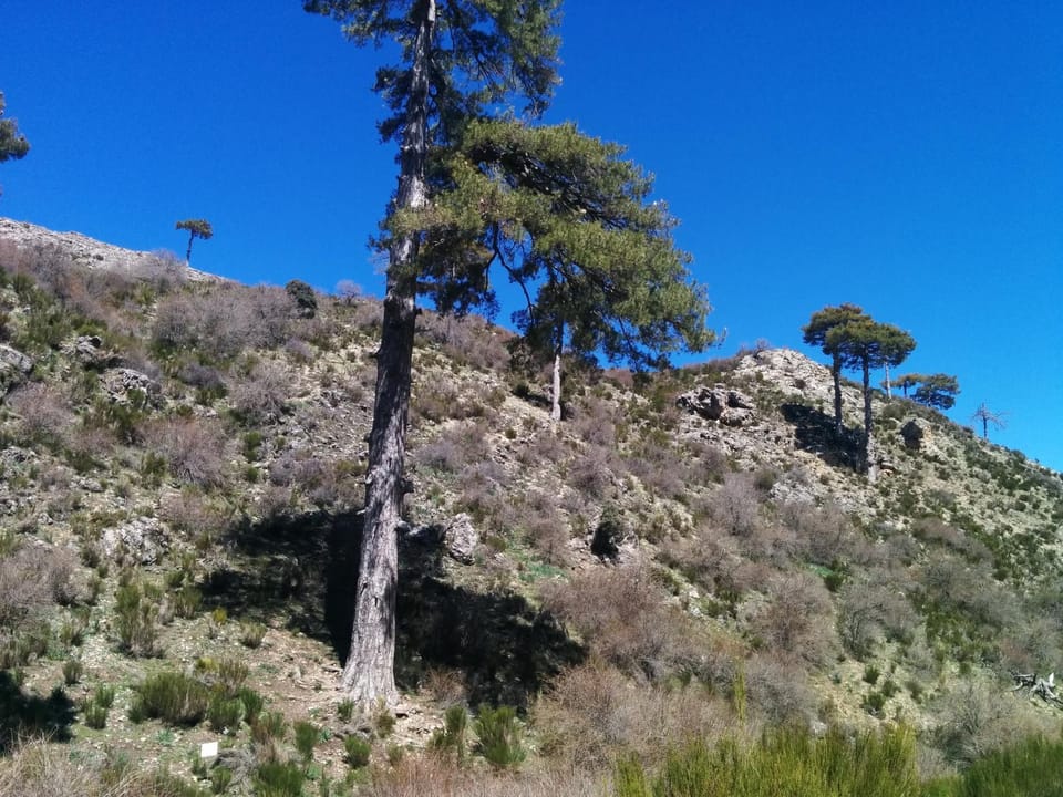 Natural landscape