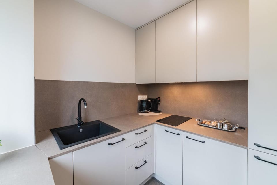 Frida Apartment Apartment in Lithuania