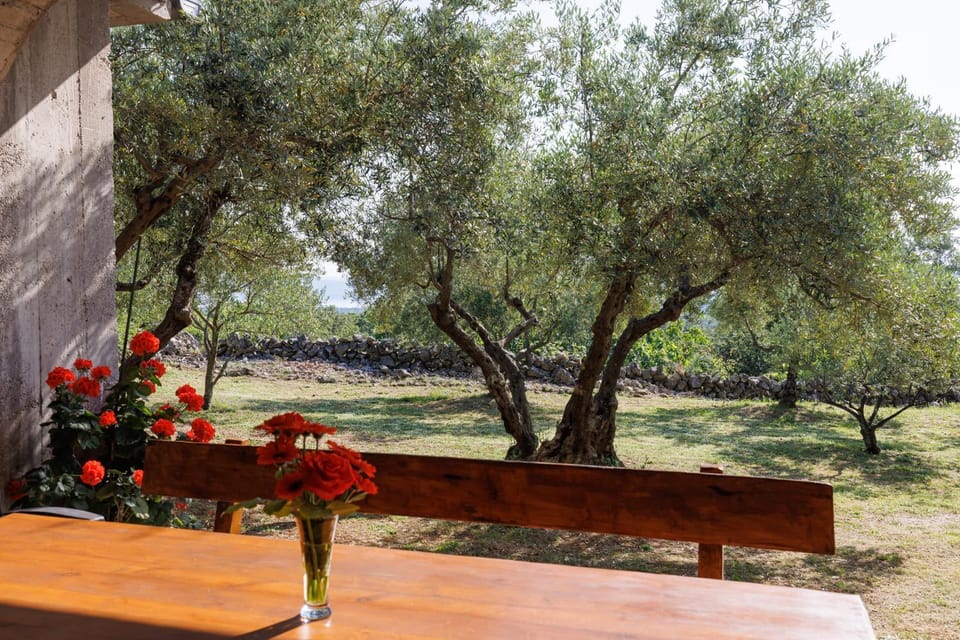 Garden, Balcony/Terrace, Garden view