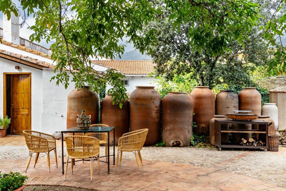 Patio, BBQ facilities, Garden