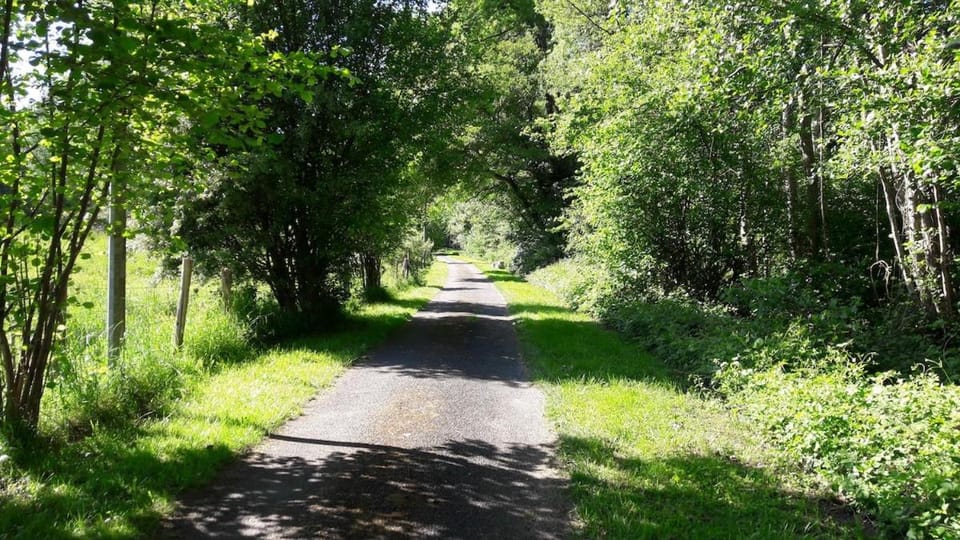 Neighbourhood, Natural landscape