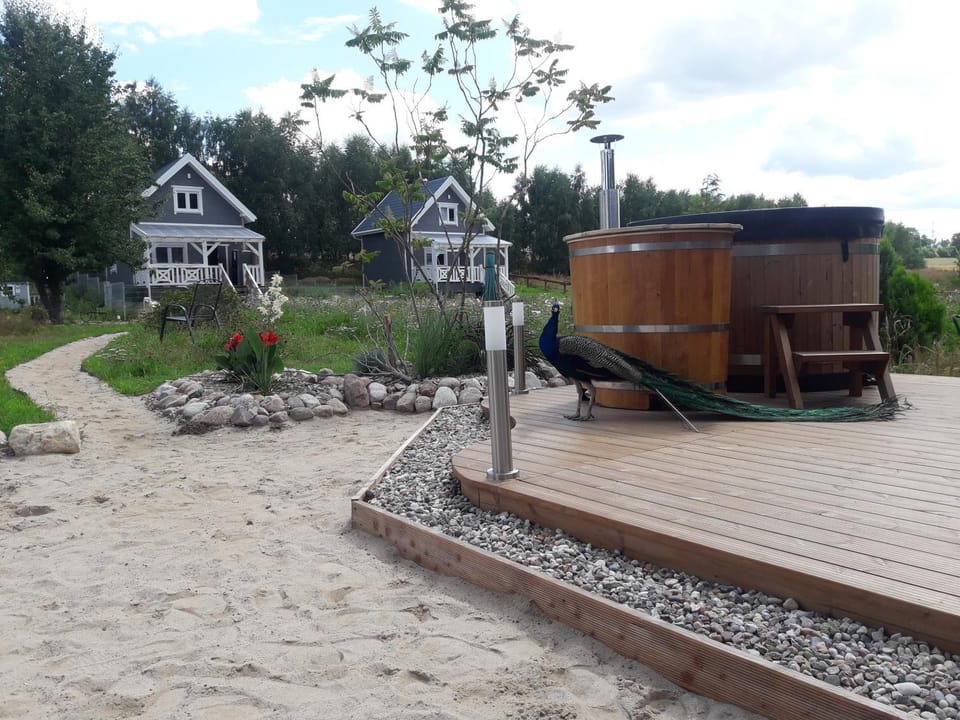 Day, Natural landscape, Summer, Garden, Sauna, View (from property/room), Beach, Animals