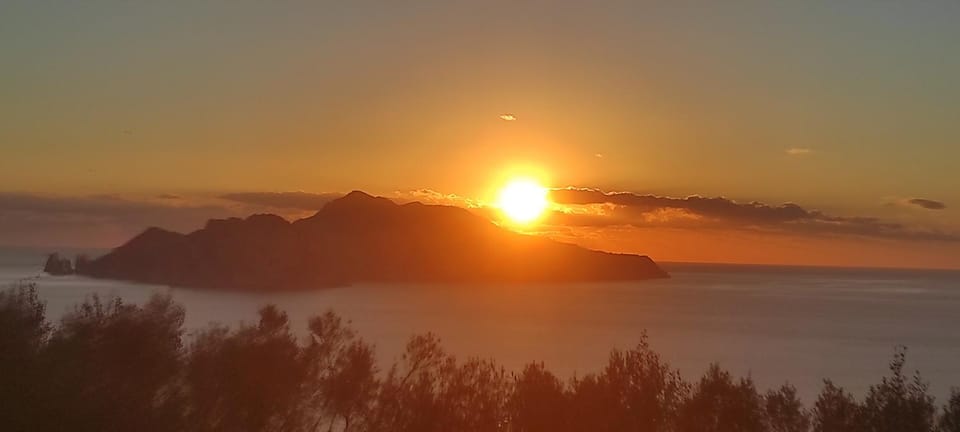 Natural landscape, Garden, Sunset