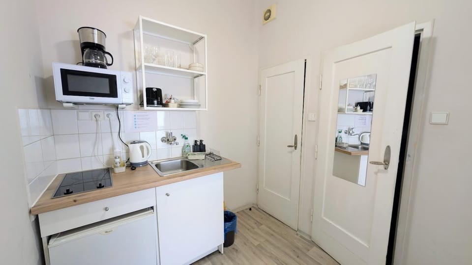 Flat in Zizkov -204- Apartment in Prague