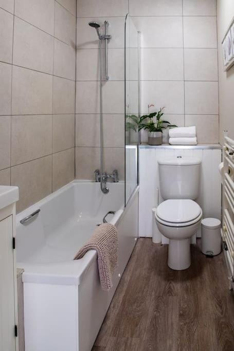 Shower, Toilet, Bathroom, Bath, towels