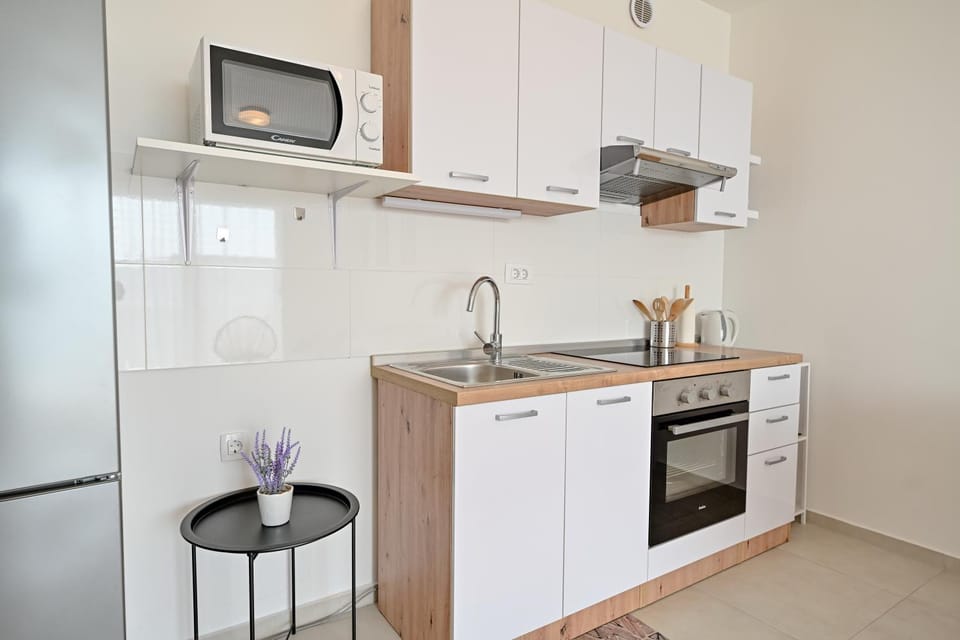 Kitchen or kitchenette, dishwasher, minibar, pet friendly