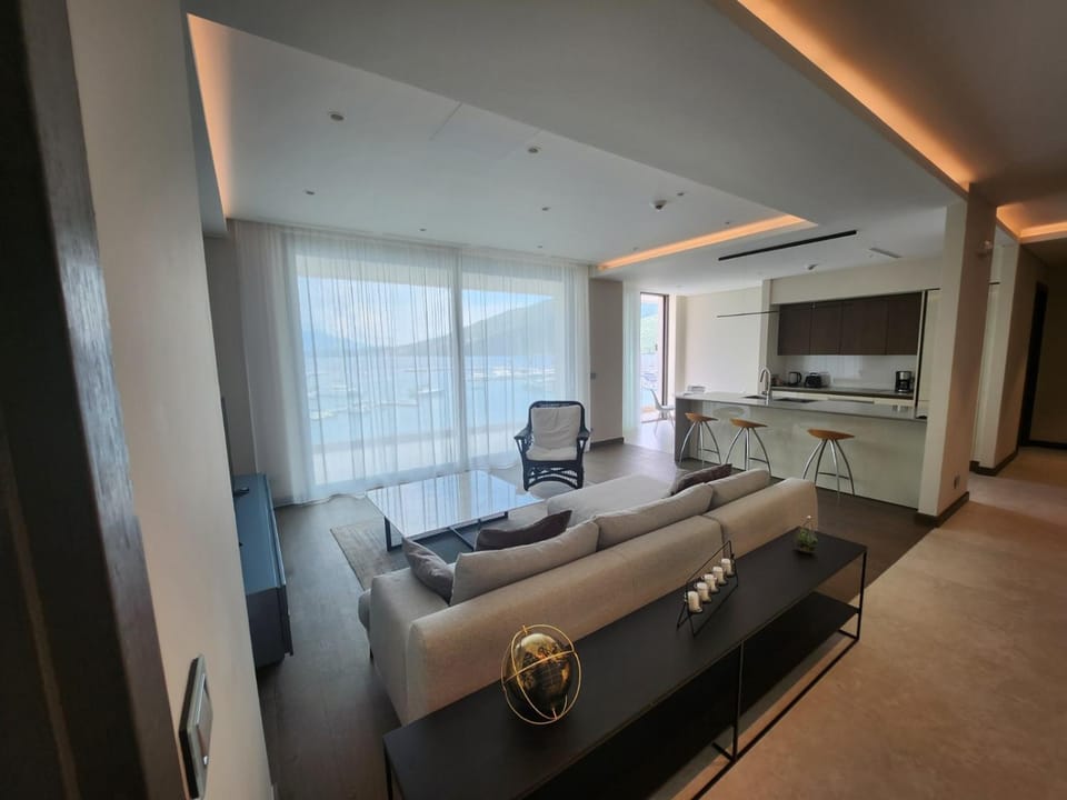 TV and multimedia, Kitchen or kitchenette, Living room, Photo of the whole room, Seating area