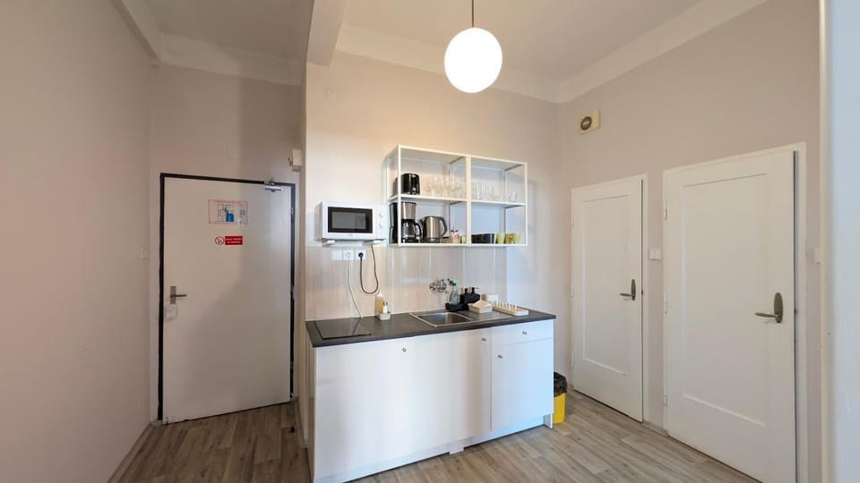 Flat in Zizkov -302- Apartment in Prague