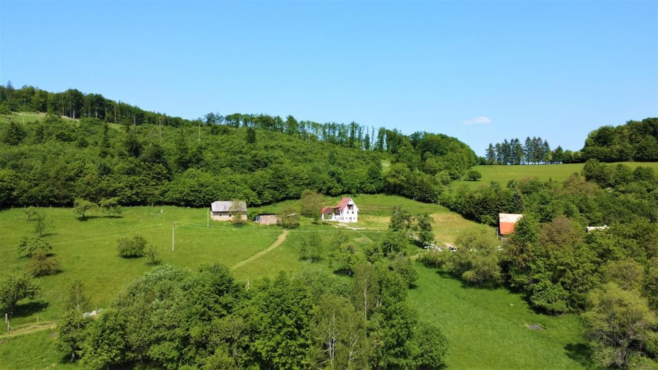 Neighbourhood, Garden, Other