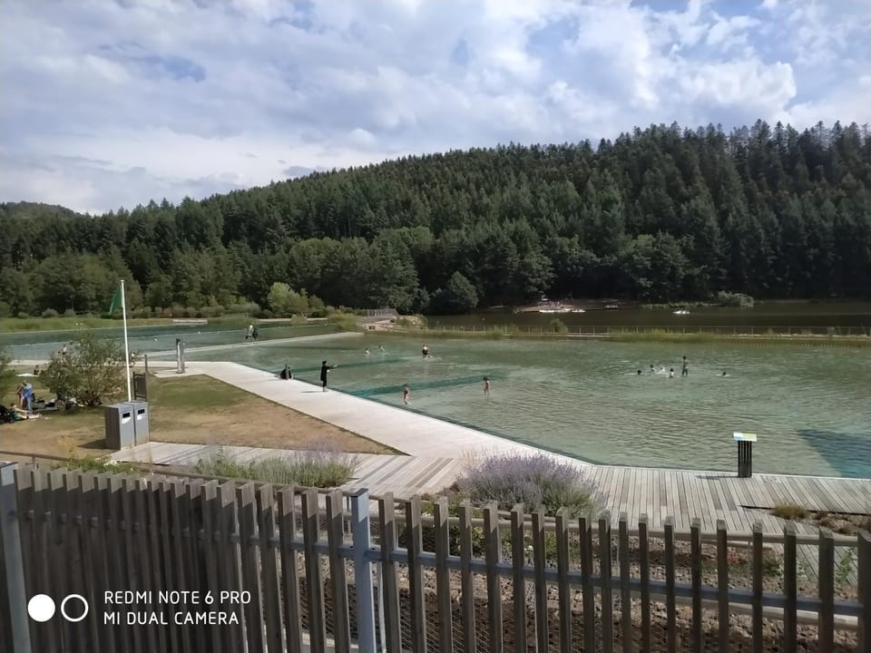 Lake view