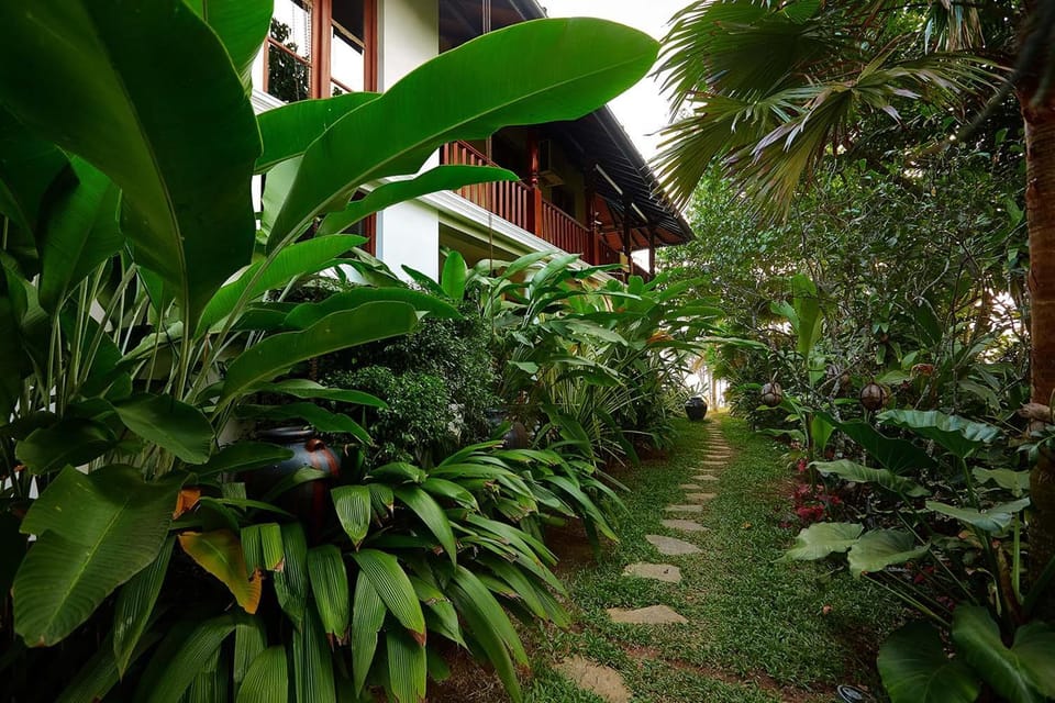 Property building, Garden, Garden view