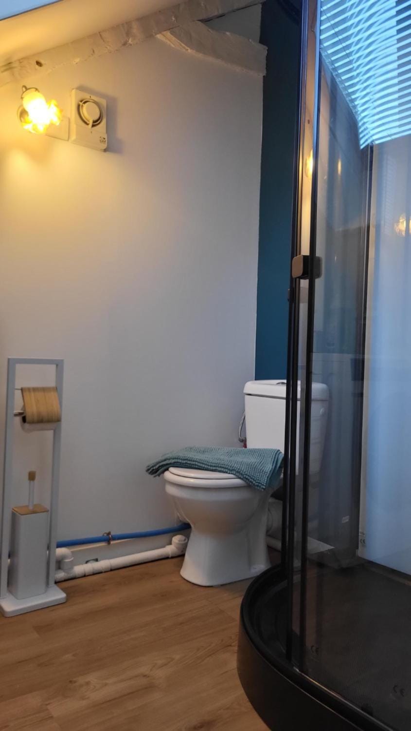 Toilet, Bathroom