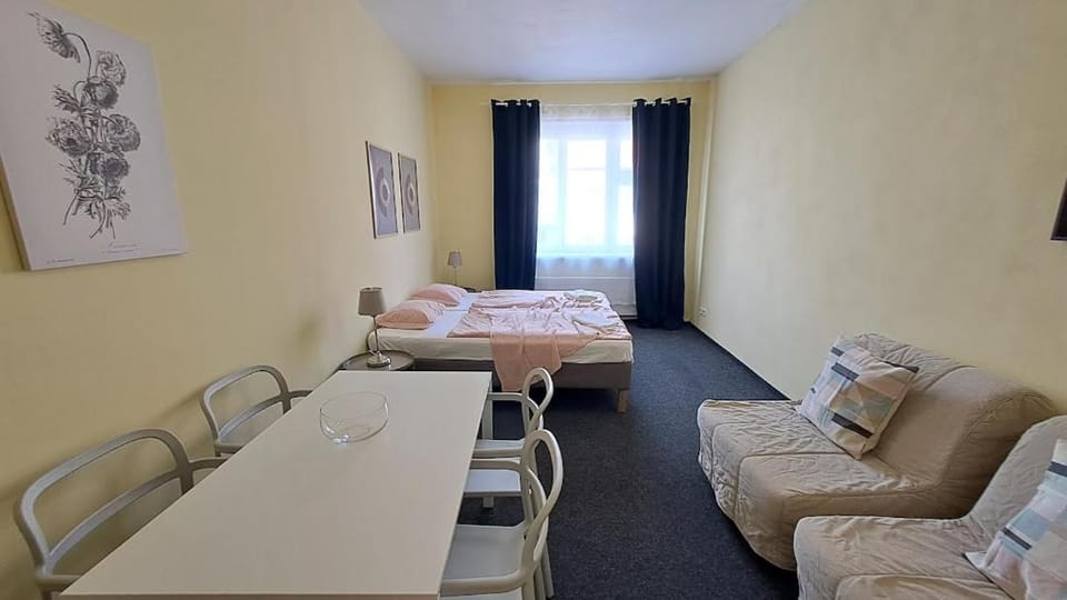Flat in Zizkov -402- Apartment in Prague