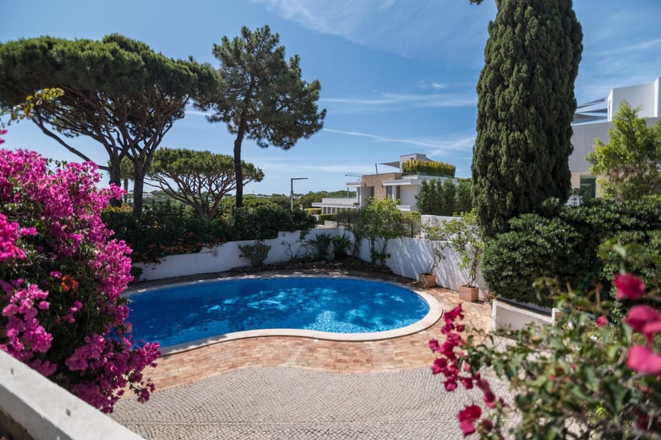 Day, Swimming pool, Swimming pool