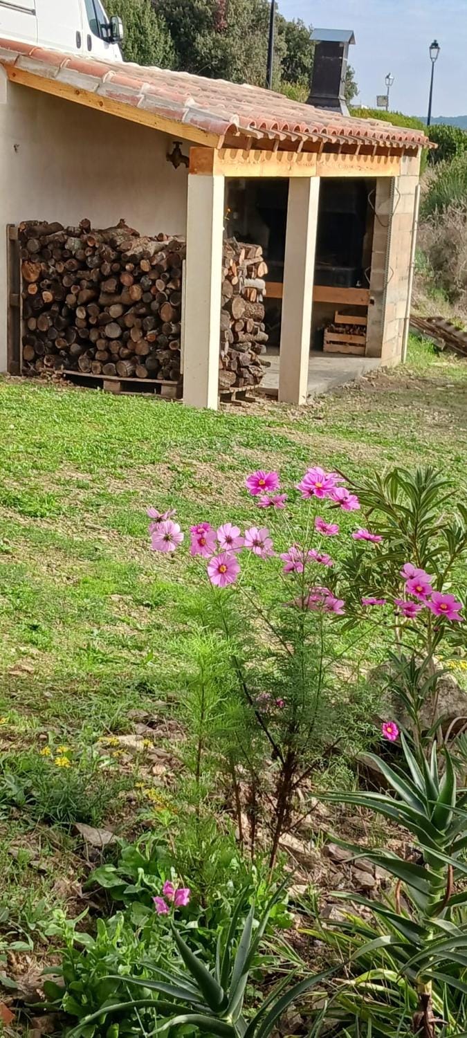 BBQ facilities