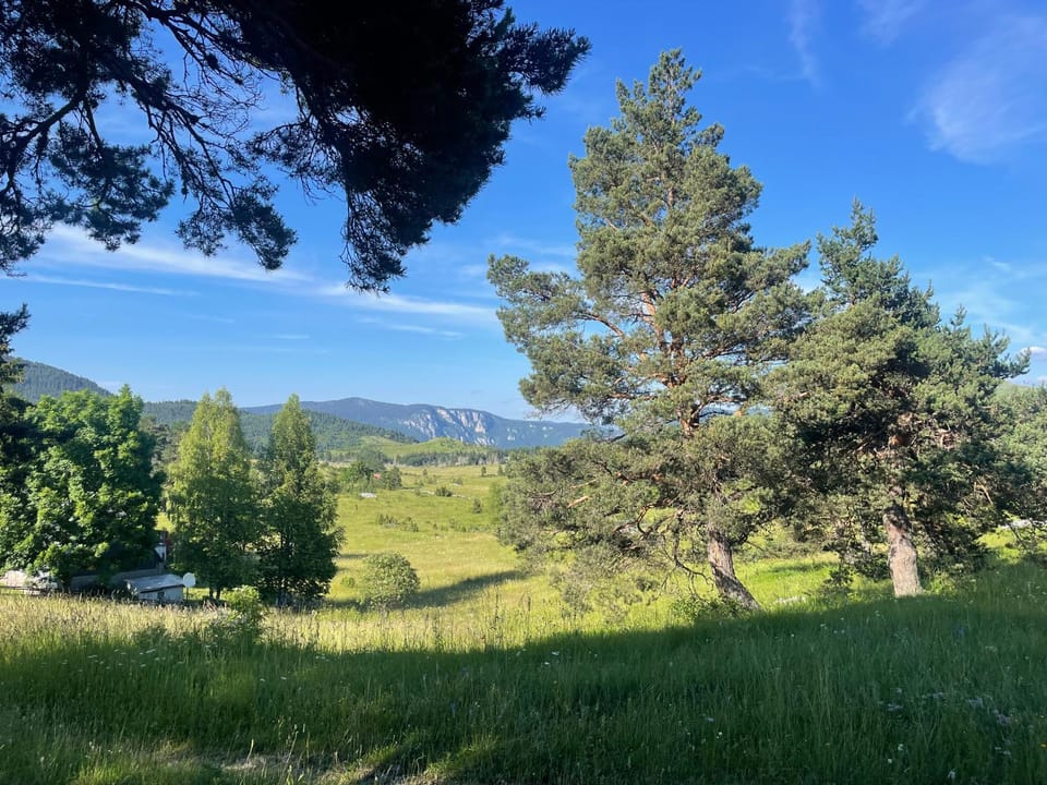 Spring, Natural landscape, Mountain view