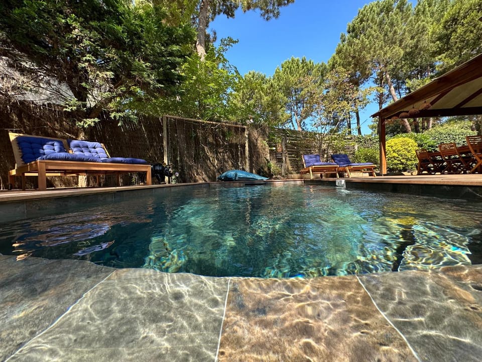 Natural landscape, Pool view, Swimming pool, sunbed