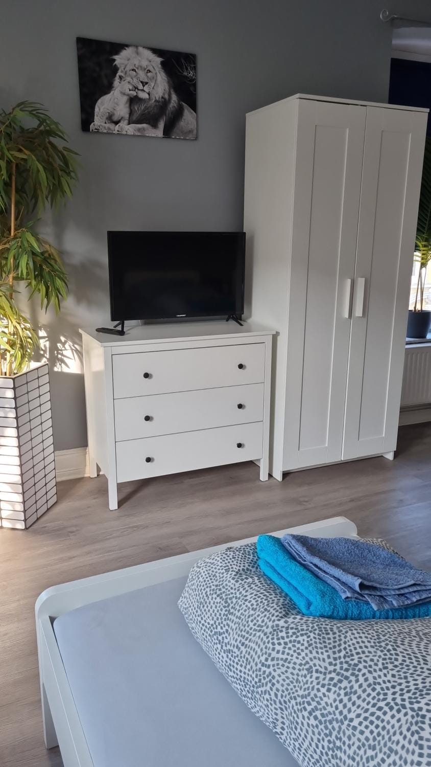 Bed, TV and multimedia, Photo of the whole room, Bedroom, wardrobe