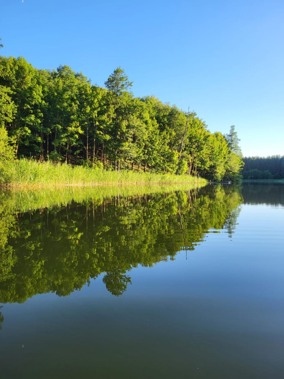Natural landscape, Beach, Lake view