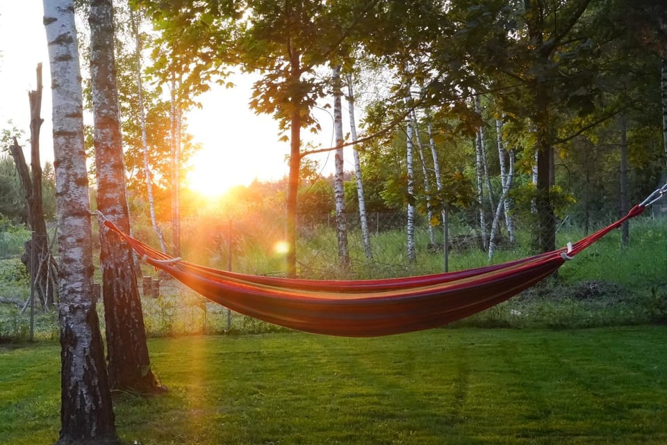 Spring, Day, Natural landscape, Garden, Garden view, Sunrise, Sunset