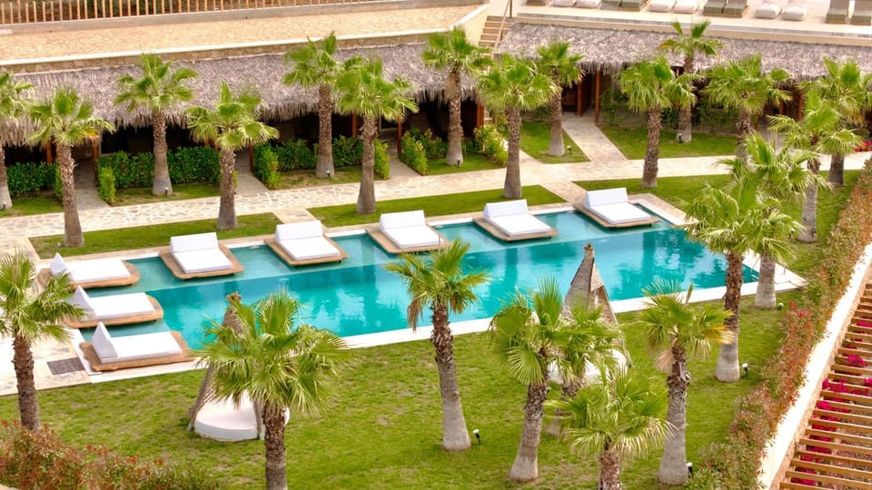 Spring, Day, Natural landscape, Garden, Garden view, Pool view, Swimming pool, Swimming pool, sunbed