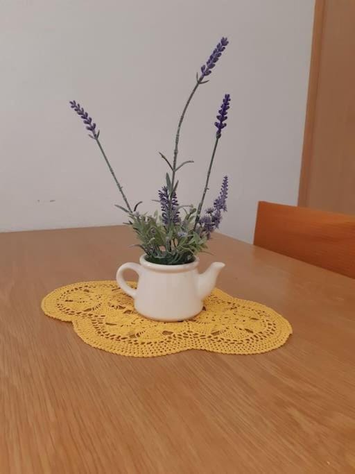 Apartman Antonela Apartment in Stari Grad