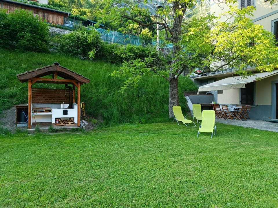 Garden, Garden view, sunbed