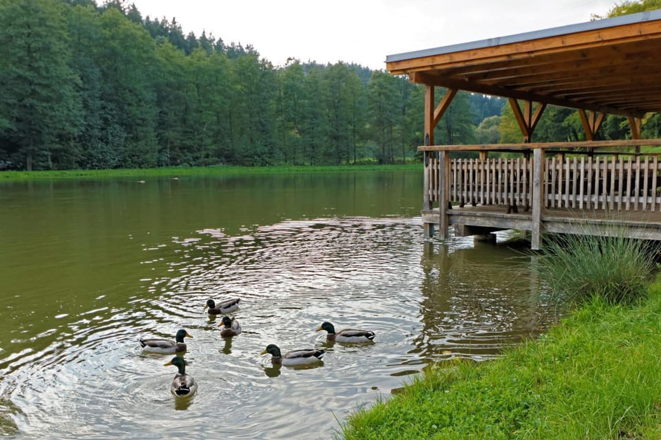 Neighbourhood, Natural landscape, Fishing, Swimming pool