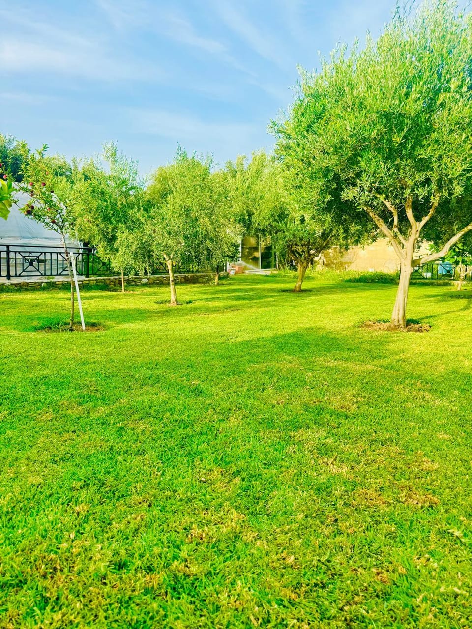 Natural landscape, Garden, Garden view