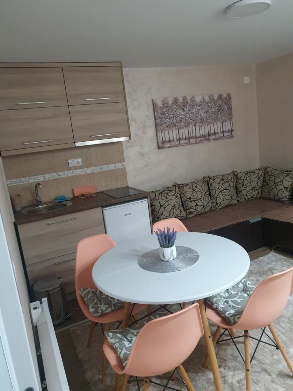 Apartman Nikolina Apartment in Zlatibor District, Serbia