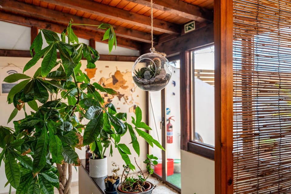 Living room, Decorative detail