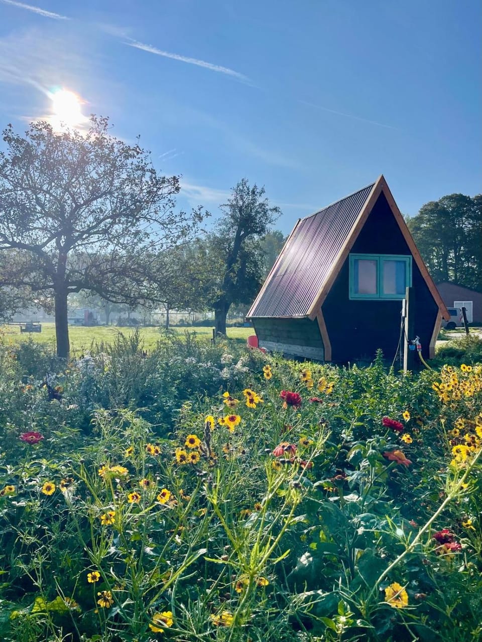 Charming cabin Avondgloed in farmer's orchard Cabin in Flevoland, Netherlands