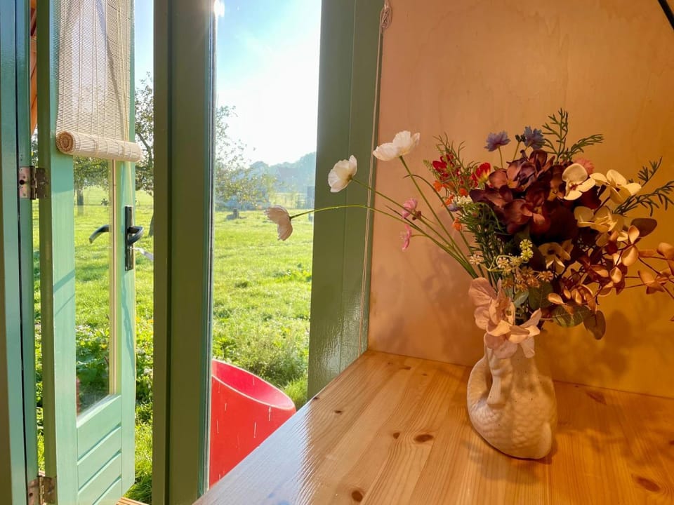 Charming cabin Avondgloed in farmer's orchard Cabin in Flevoland, Netherlands