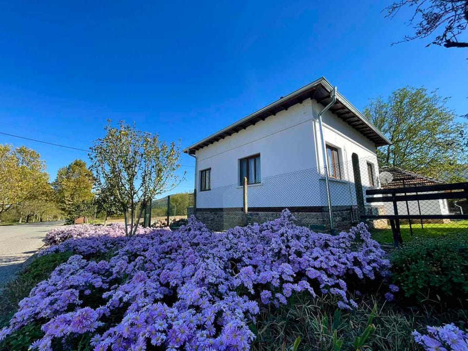 Miracle Houses Къщи за гости Чудеса House in Bulgaria