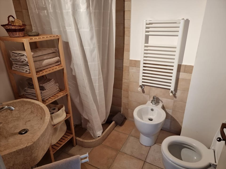Toilet, Bathroom, bidet, towels