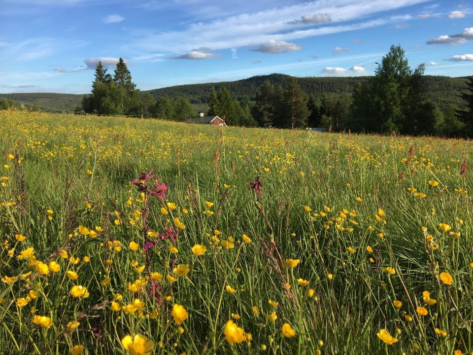 Natural landscape, Summer, Mountain view
