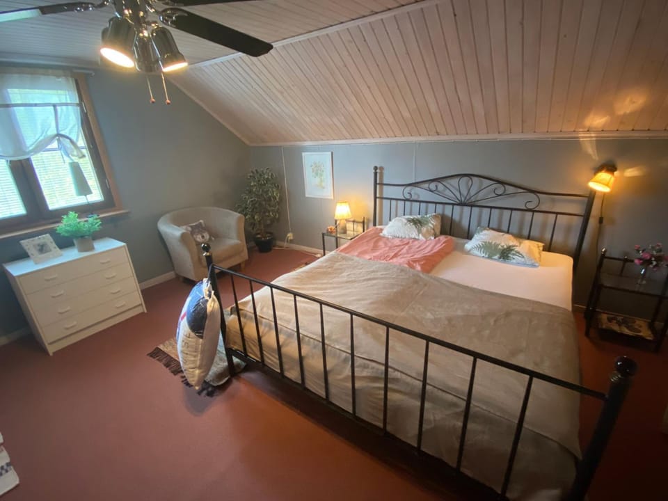 Bed, Photo of the whole room, Bedroom, fireplace