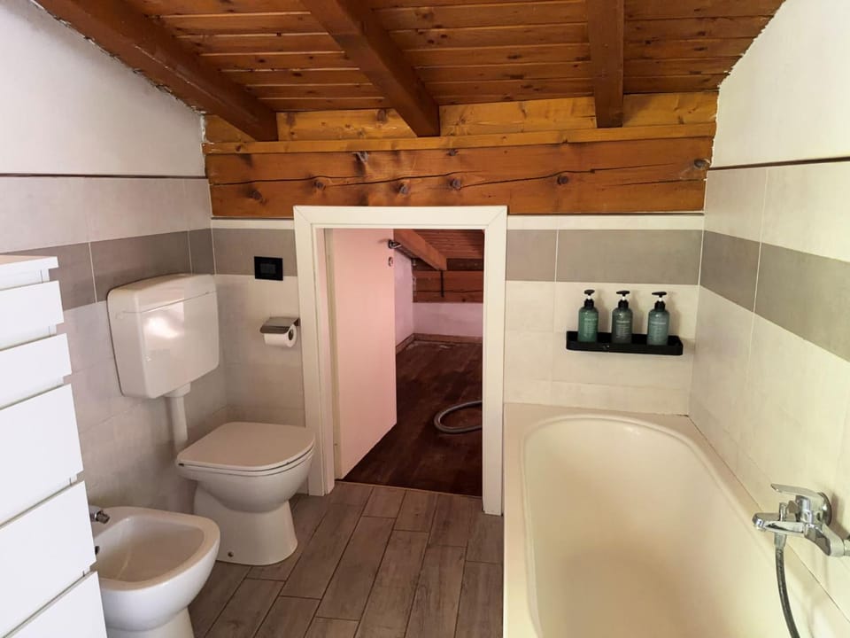 Toilet, Bathroom, bidet
