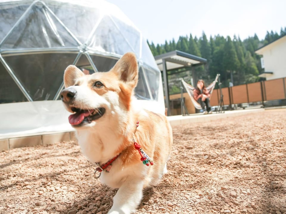 Lupo Forest "GRAN FOREST Echizen Miyama" - Vacation STAY 76029v Hotel in Japan