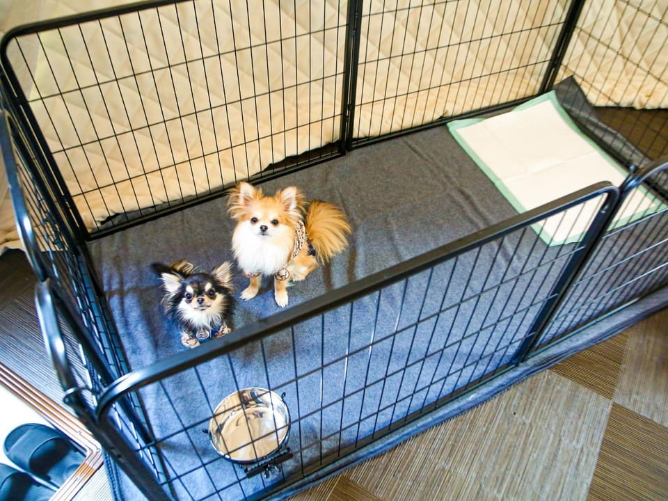 Lupo Forest "GRAN FOREST Echizen Miyama" - Vacation STAY 76029v Hotel in Japan