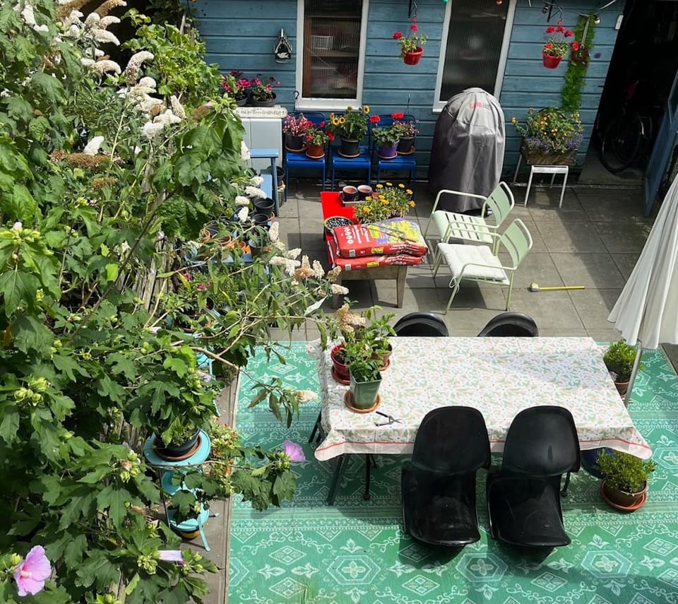 Garden view