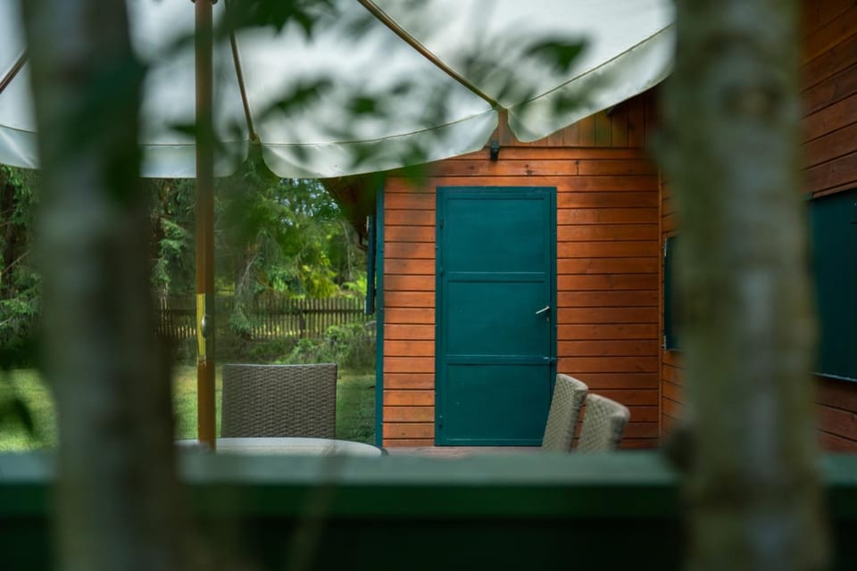 Patio, Day, Garden, Garden view