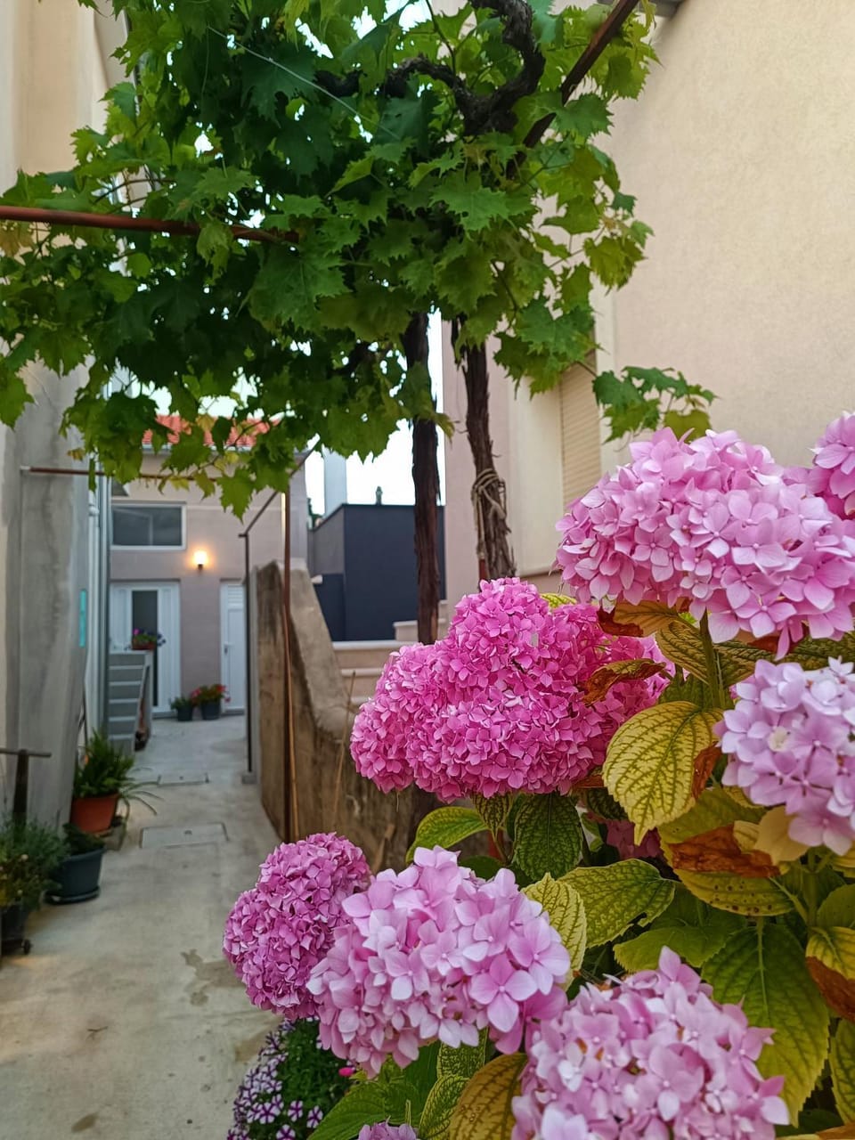 Garden, Garden view
