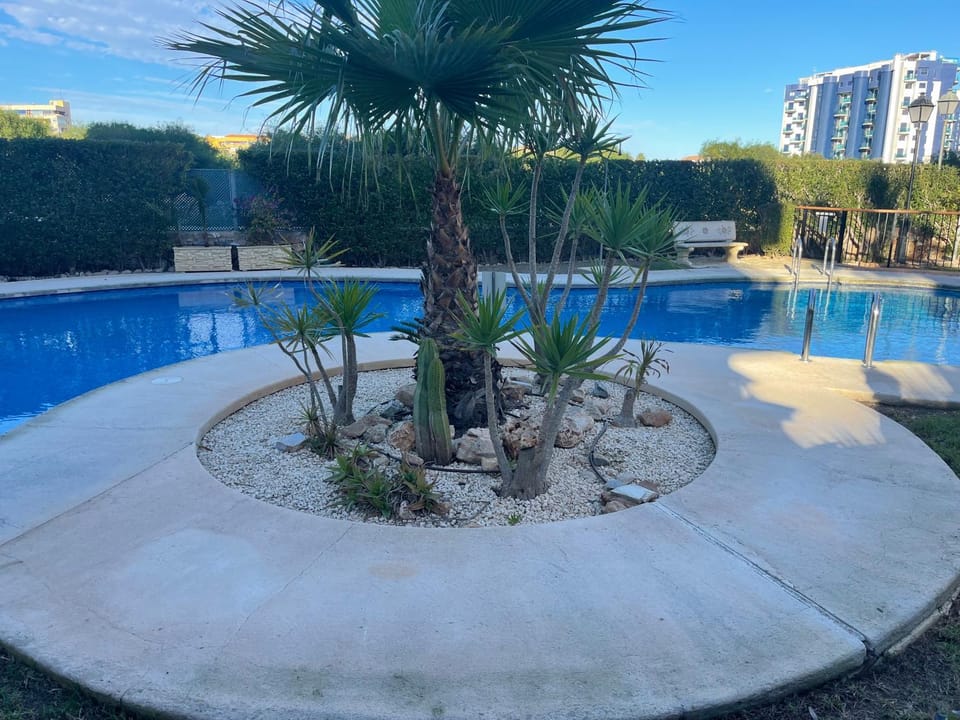 Day, Garden, Pool view, Swimming pool