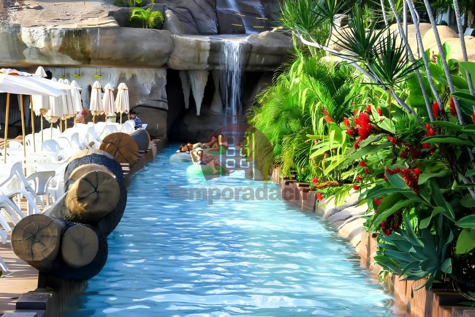 Spring, Day, Natural landscape, Garden, Garden view, Pool view, Swimming pool