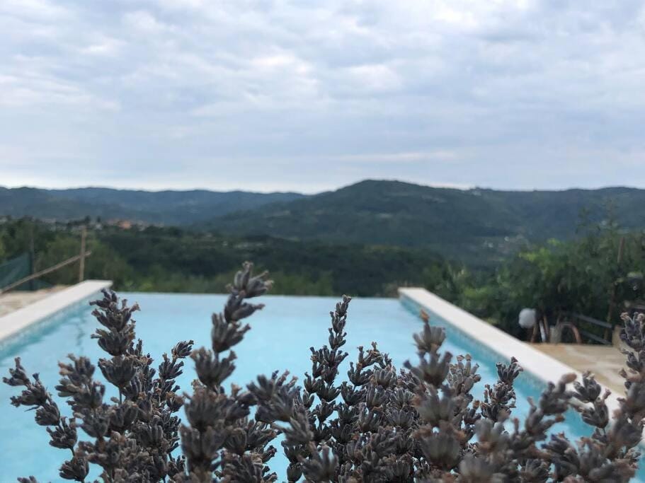 Kuća Zanetta sa bazenom Villa in Istria County
