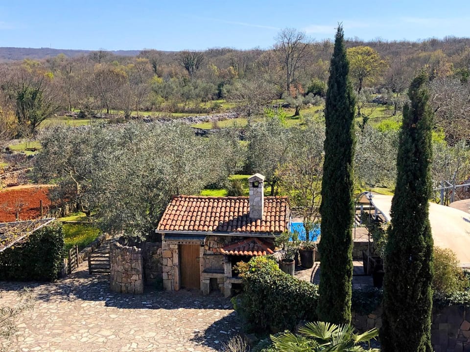 Garden, Inner courtyard view