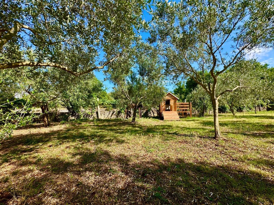 Children play ground, Garden