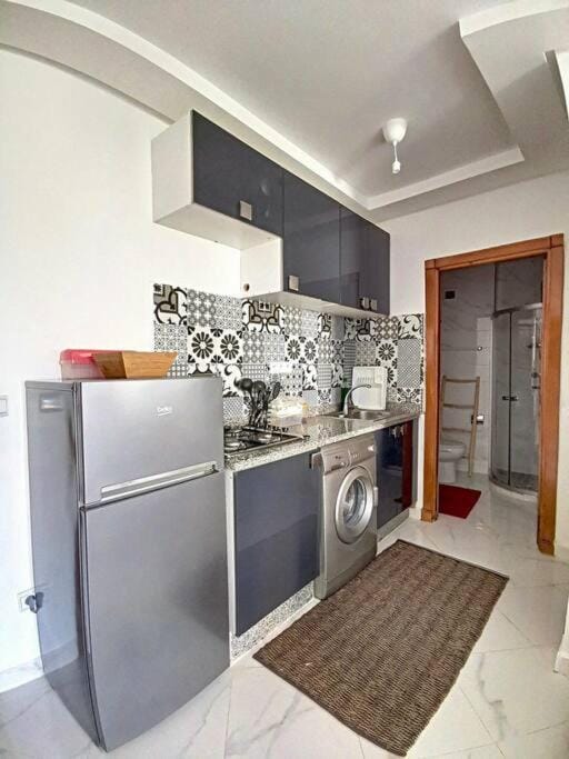 Kitchen or kitchenette, minibar, pet friendly, stove, washing machine